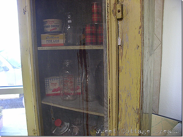 P1010102n P1010102n