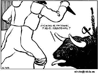 el roto toros
