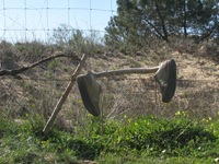 IMG_2582 IMG_2582