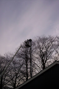 100_0098.jpg