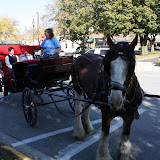 2010 Homecoming Carriage Rides