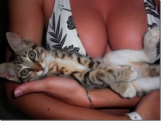viral-picdump-pics-ee1200