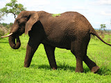 South Africa - 062.JPG