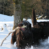 IMG_5802.JPG