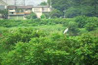 DSC_0150.jpg Photo