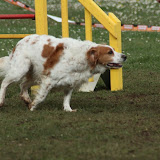 IMG_9838.jpg IMG_9838.jpg