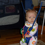 SAM_0816.JPG