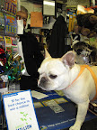 Hey Frannie, look at this - $1 for the best chance to win a million.  What do you say?
