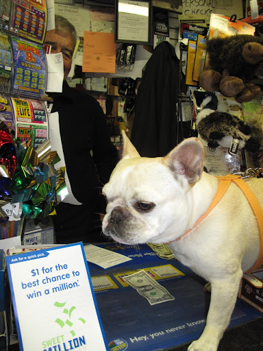Hey Frannie, look at this - $1 for the best chance to win a million.  What do you say?
