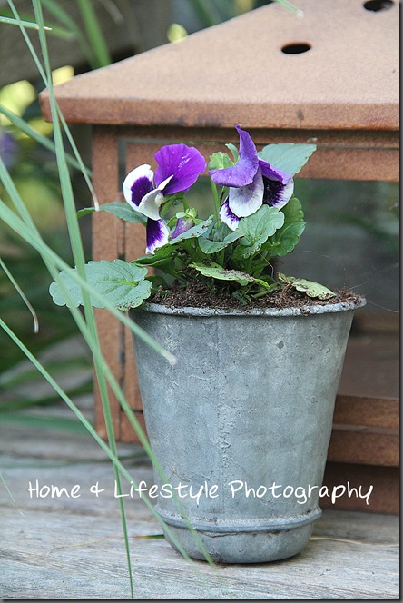 Home & Lifestyle Home & Lifestyle