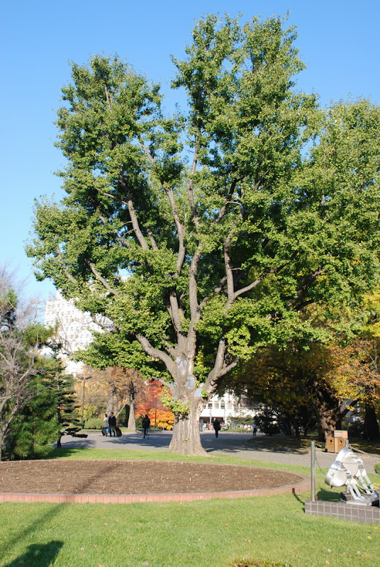 hokkaido_773.jpg
