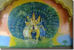 MAYA350_thumb.jpg?imgmax=800