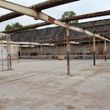 img_8318.jpg