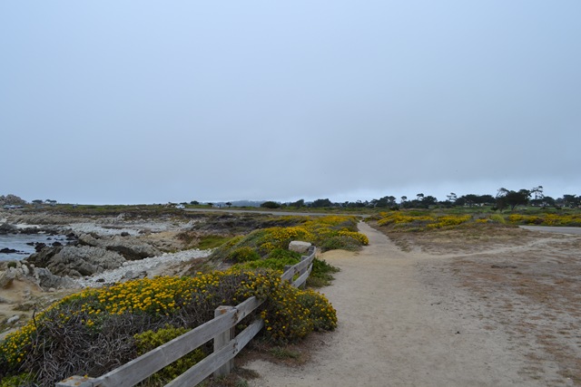 [17miledrive22.jpg]