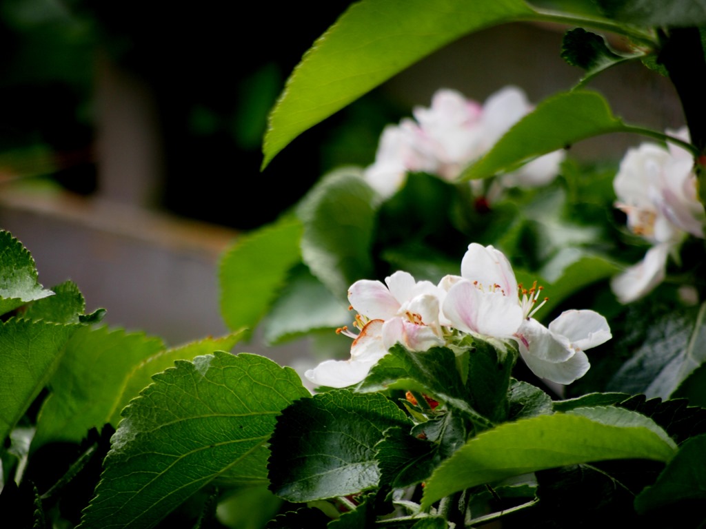 [13%2520June%25207%252013-06-2013%252011-29-11%255B3%255D.jpg]