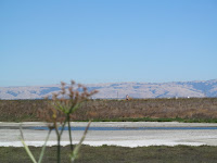 Out Of Juice Ride 007.JPG Photo