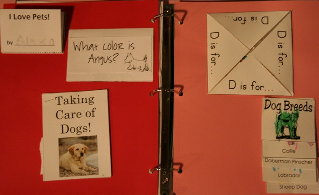 [IMG_0075%255B4%255D.jpg]