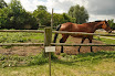 DSC_0310.JPG