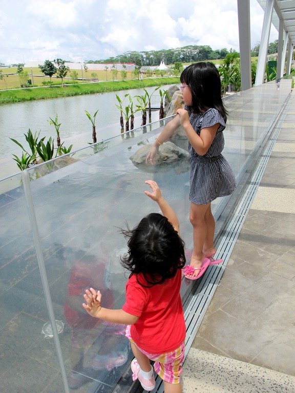 [IMG_45452.jpg]