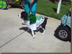 IMG_5580 IMG_5580