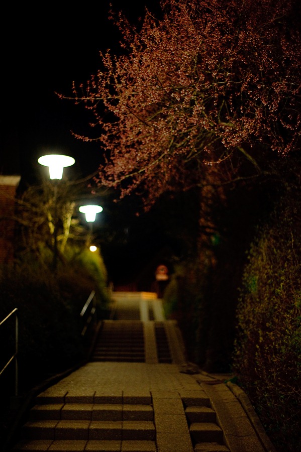 [DSC_9663%255B2%255D.jpg]