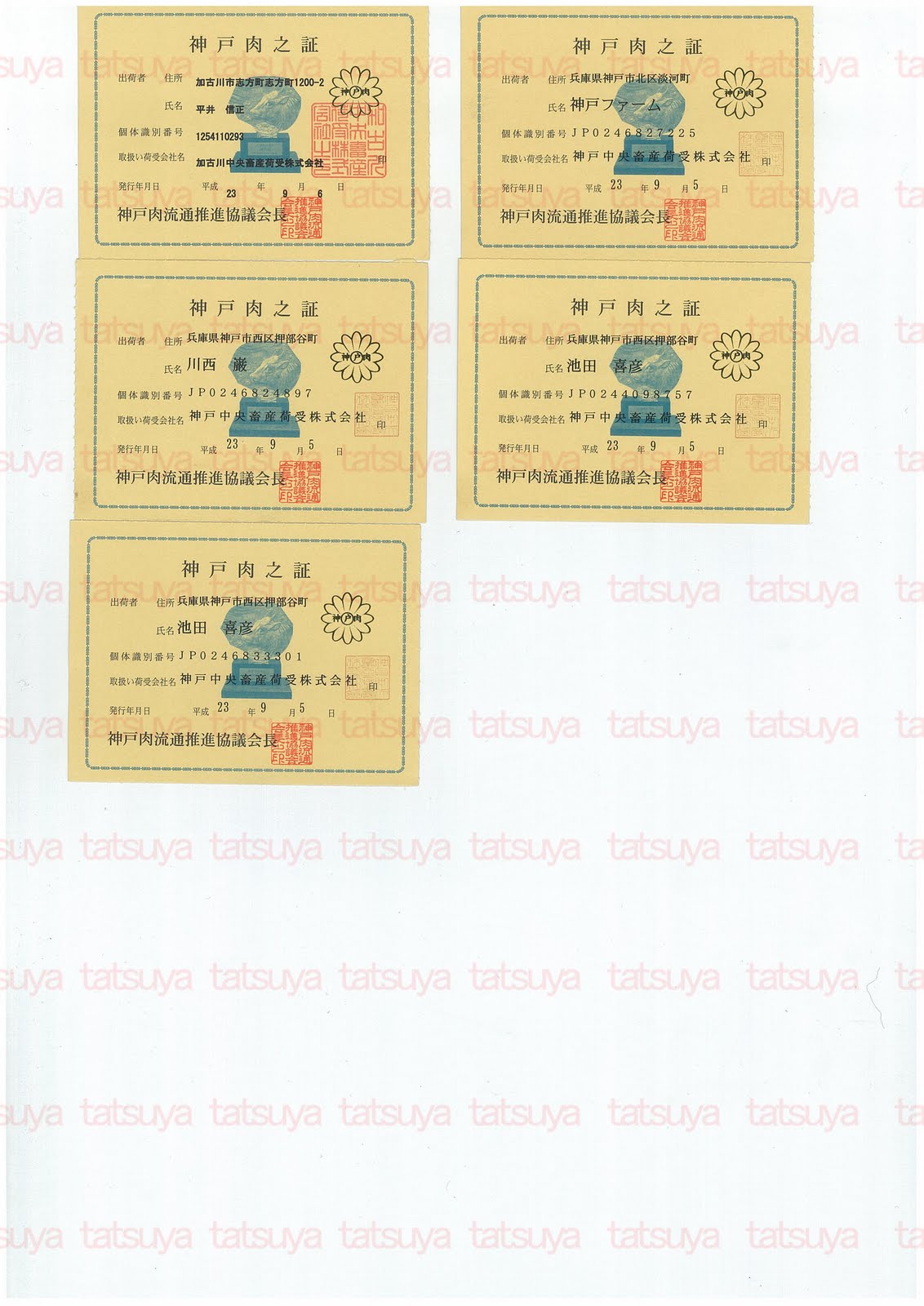 [LOT-11100301-%25232.jpg]