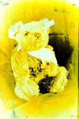 Split-Toned-Prints---Bears-1-E