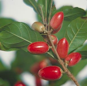 [image%255B2%255D.png]