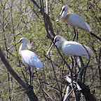 IMG_0898-Crop 1.jpg