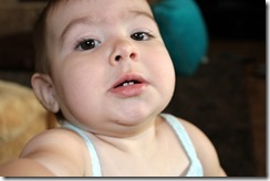 IMG_3992 IMG_3992