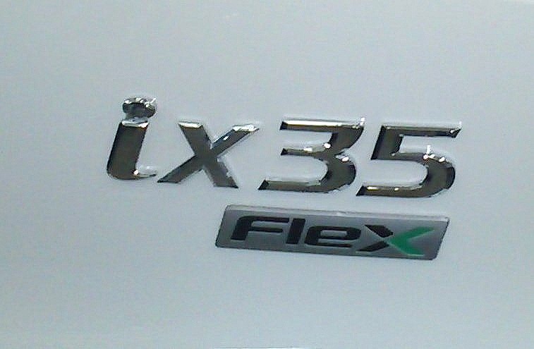 [logo%2520Flex.1.jpg]