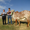 superleite2011_dia1607_52.JPG
