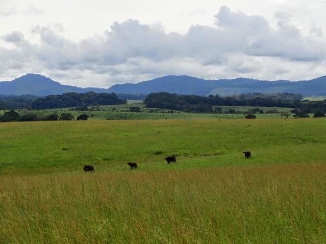 parc de la lopé 2