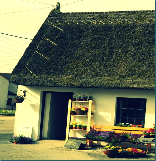 skerries