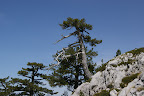 DSC03324.JPG