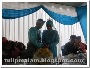 IMG_1987 IMG_1987