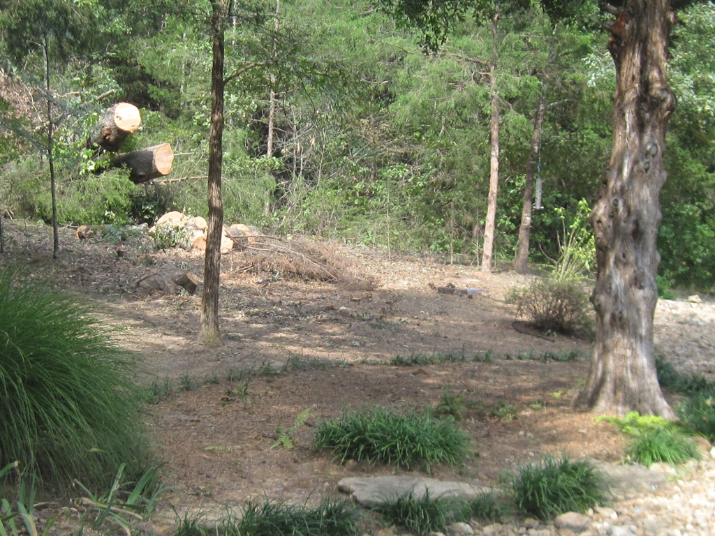 [130915_Tree_1389%255B6%255D.jpg]