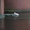 hokkaido_411.jpg
