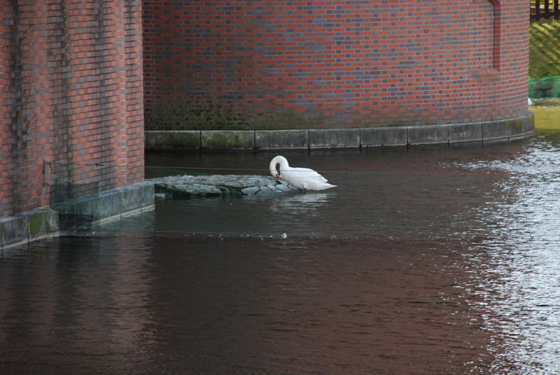 hokkaido_411.jpg