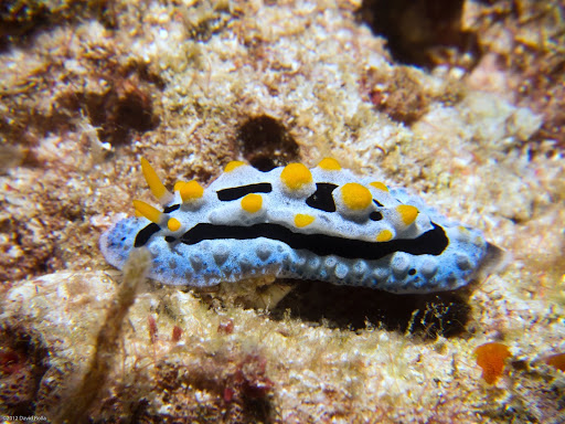P7044580