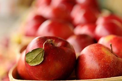 apples_hags