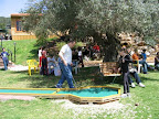 p1272374571(3).jpg