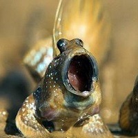 @ 10 curiosidades interessantes que provavelmente você não sabia @ 10 curiosidades interessantes que provavelmente você não sabia
