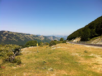 IMG_1451.JPG Photo