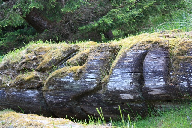 [IMG_57531280x8534.jpg]
