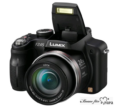 Panasonic Lumix DMC-FZ45 Panasonic Lumix DMC-FZ45