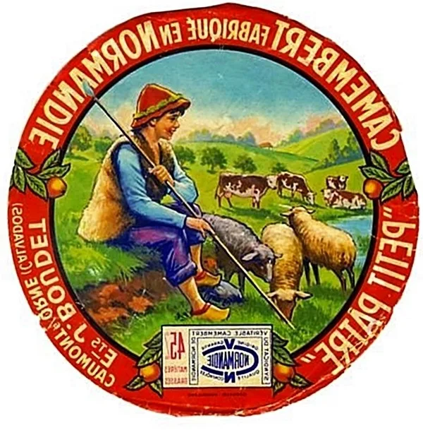 Vintage French Camembert Label Reversed
