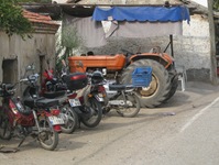 IMG_1544 IMG_1544