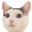 [Kenji-blog%255B2%255D.gif]