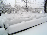 Snow everywhere